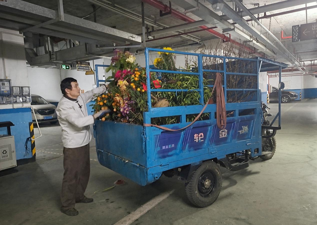 节后年花年桔如何处理？集中放在小区的临时收集点就可以啦