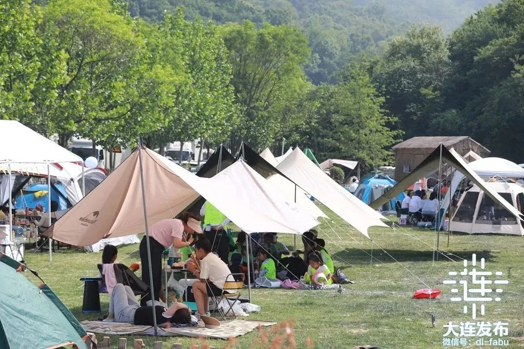 打卡大连,他们感觉太棒了!来自11个国家和地区的网络名人及国内网络媒体记者走进大连