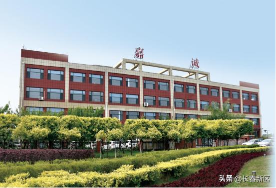 长春嘉诚网络科技有限公司,长春嘉诚信息工程公司