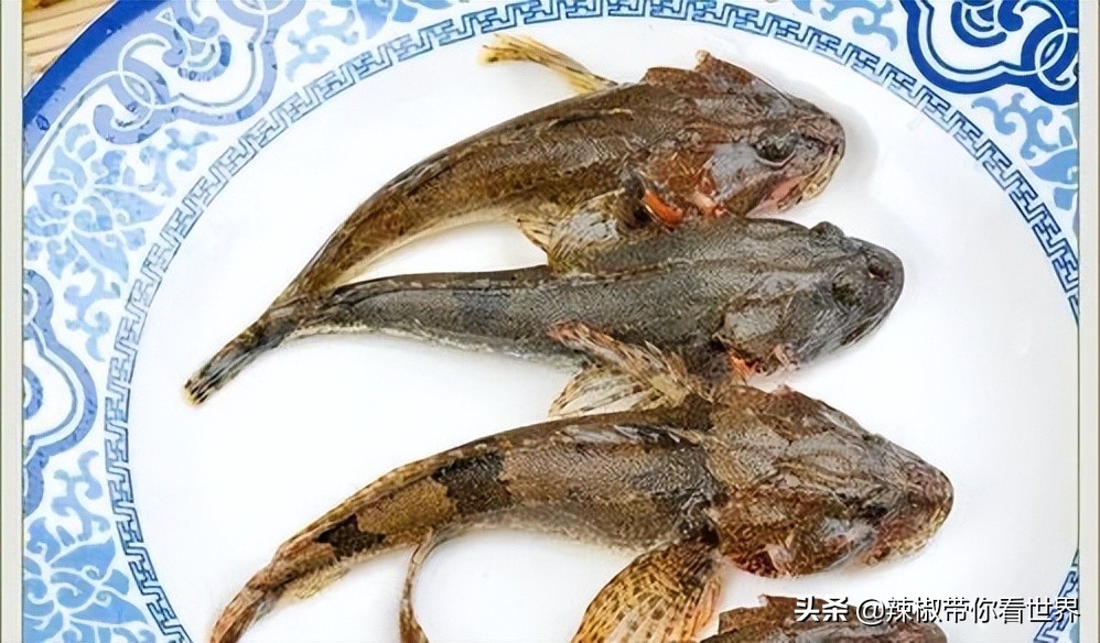 盐城最大的海边城市,盐城海岸线为何一直延伸