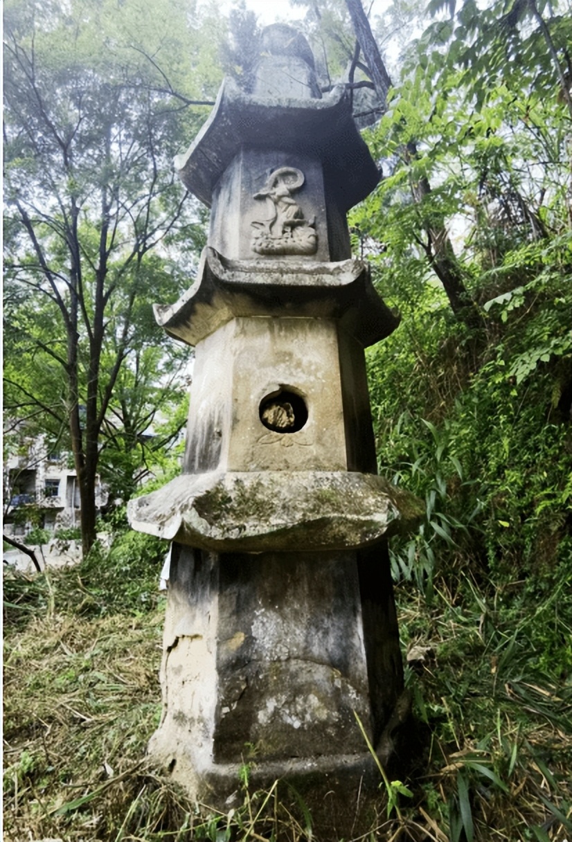 营山县任颖辉,营山任颖辉