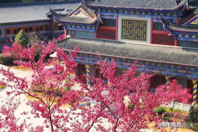 翁源江尾镇年味,翁源兰韵飘香