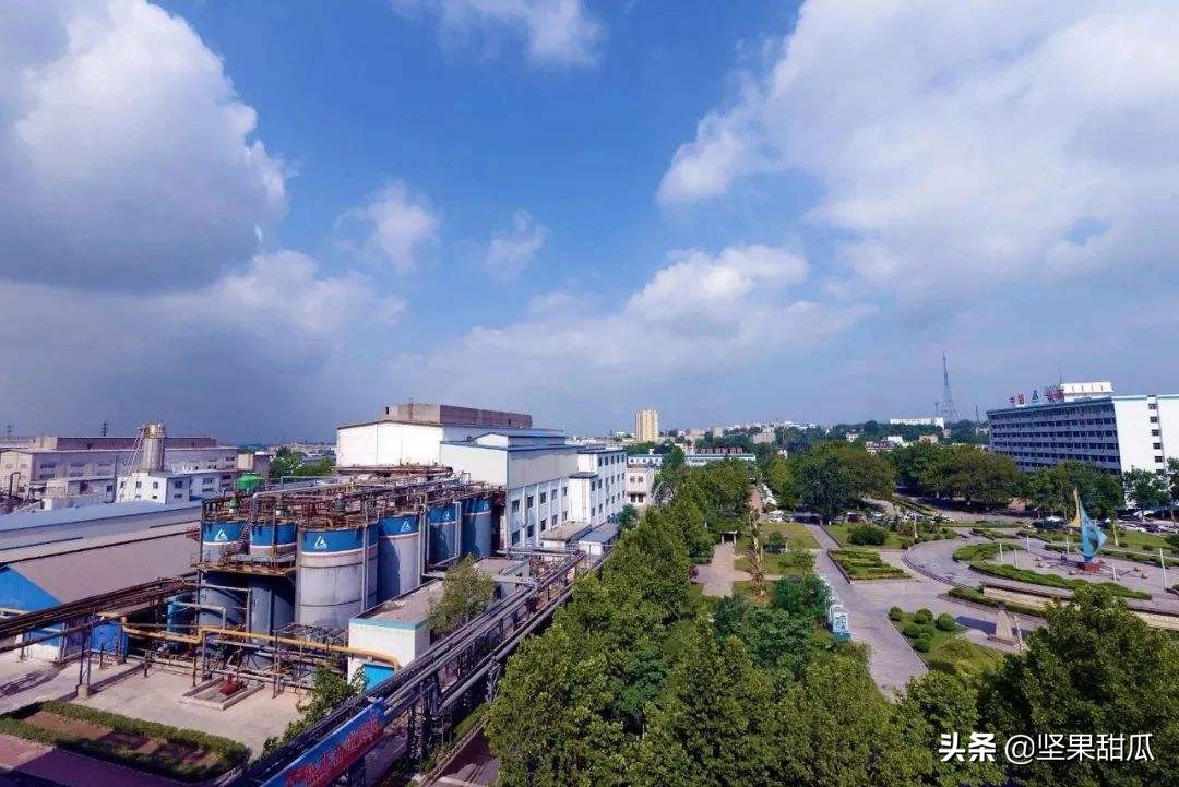 中国铝业的铝土矿进口数量,山东铝矿石产量最高的地区