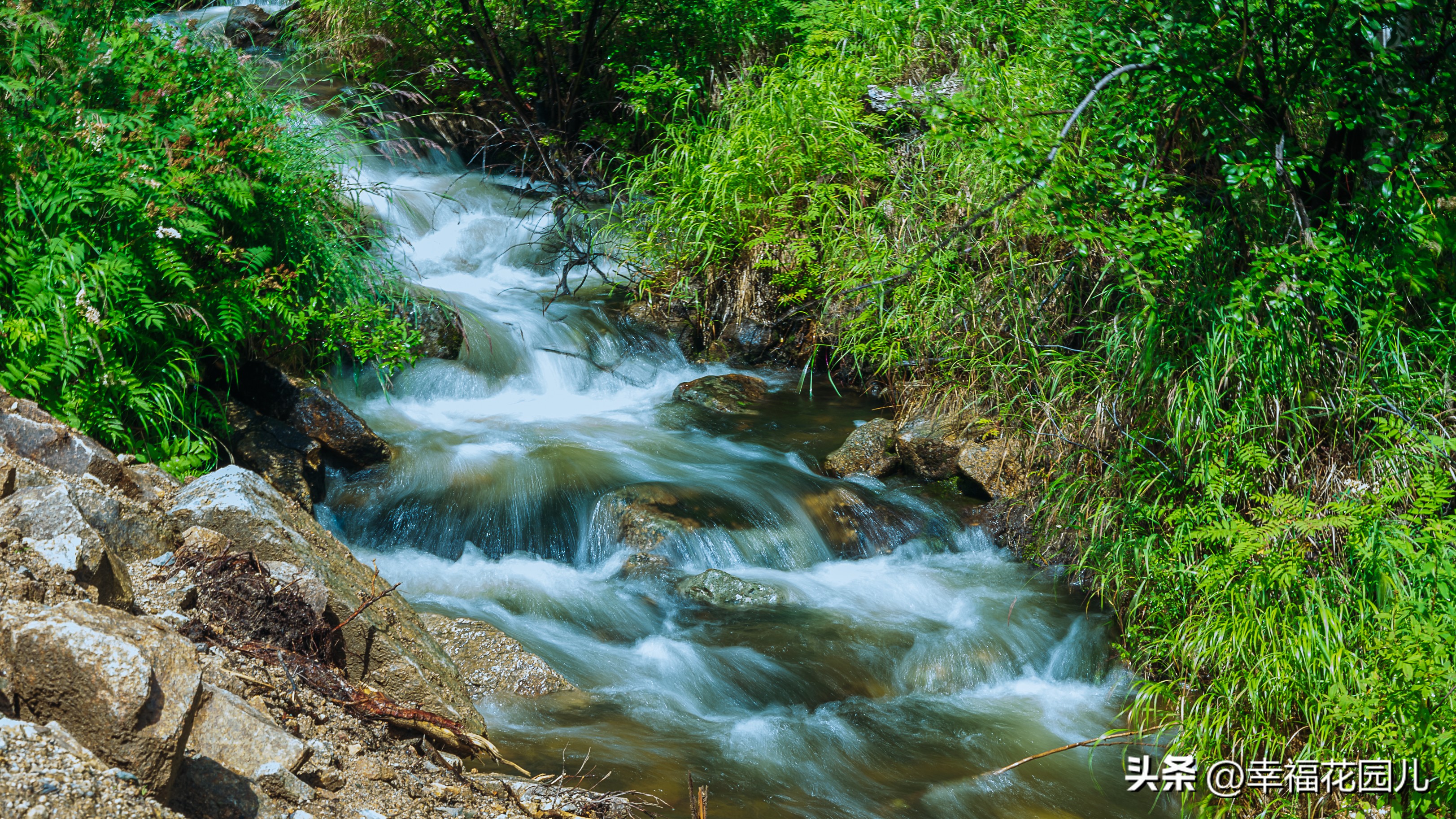 寻北之旅长白山,漠河地质公园