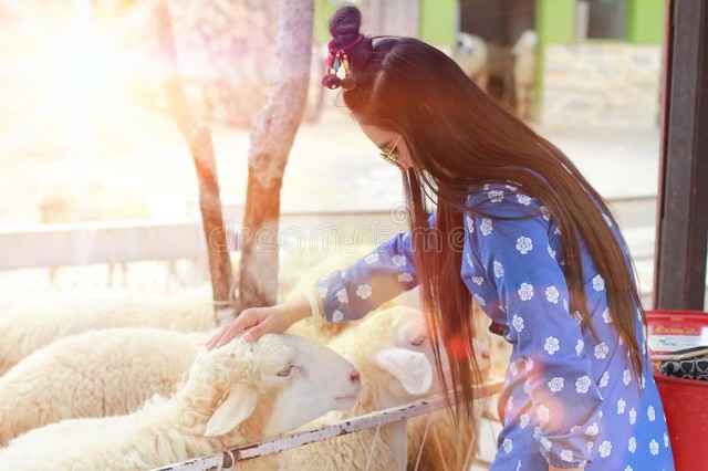 青少年虚荣心和攀比心理如何引导,虚荣心背后的心理需求是什么