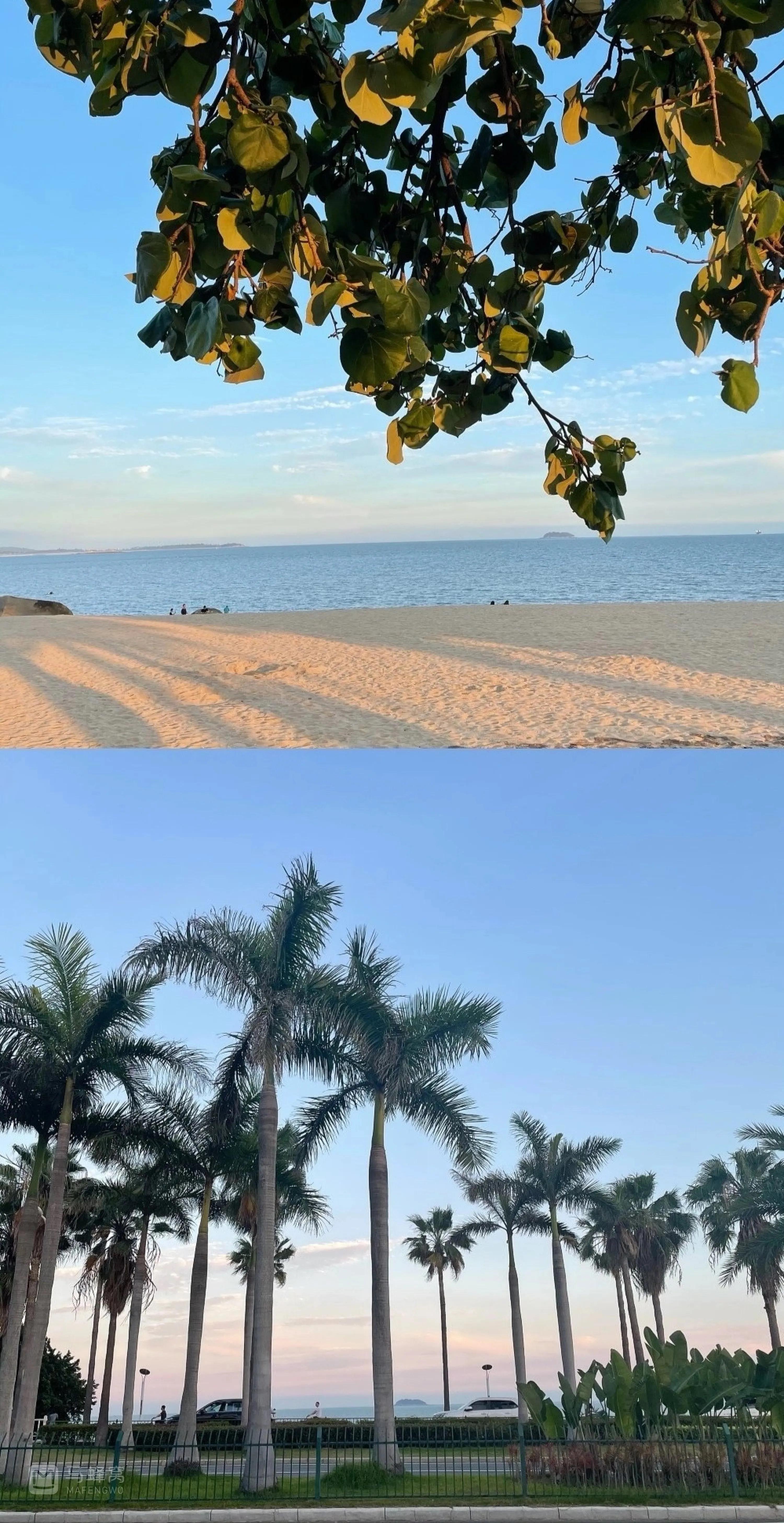 厦门旅游超详细的攻略,厦门最详细的旅游攻略