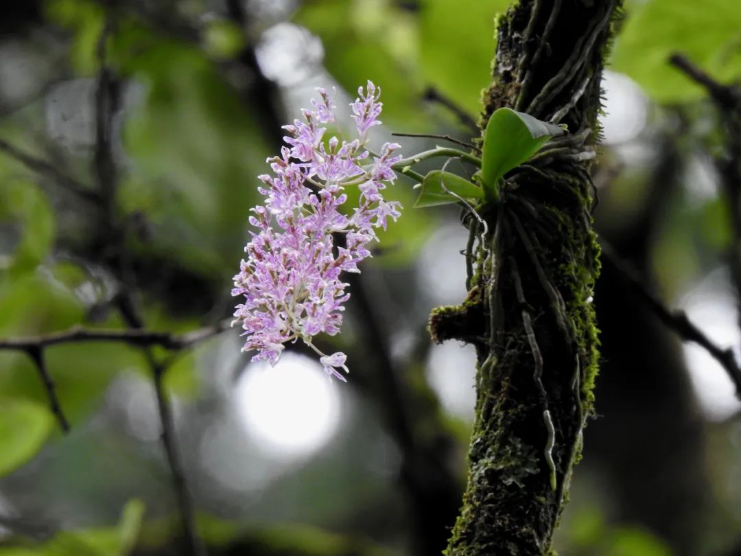 中国首次参加世界博览会,中国举办了哪些国际大会