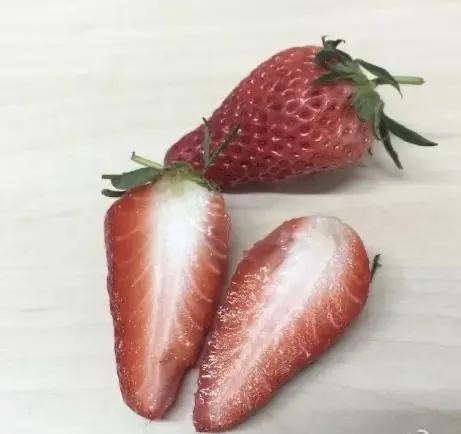 草莓家族有哪些成员,草莓家族成员在哪里