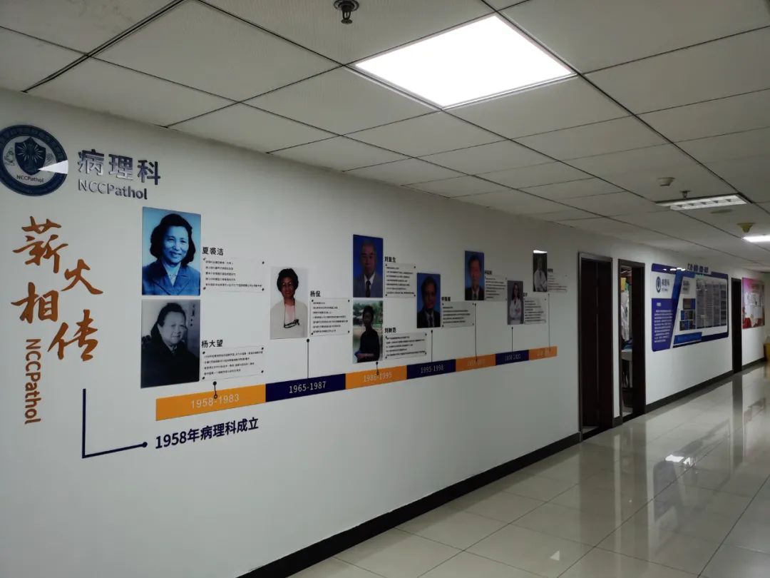 应建明中科院病理专家,应建明教授微浸润肺腺癌