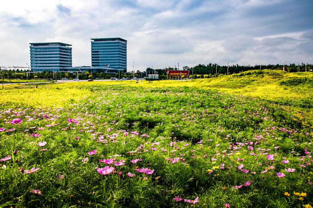 赞美秦皇岛的夏天,想念秦皇岛的夏天