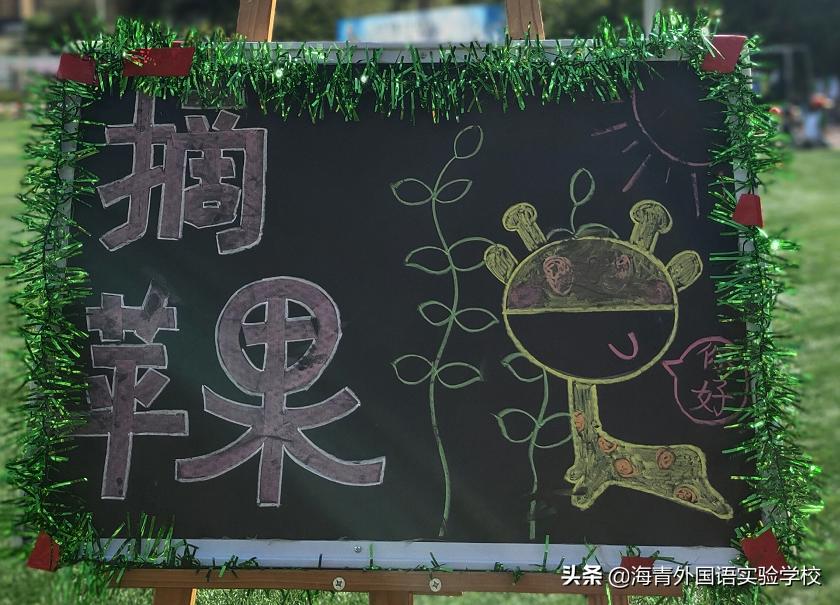 乐数学之趣味展思维之魅力——海青第二届“海数杯”素养大赛启动