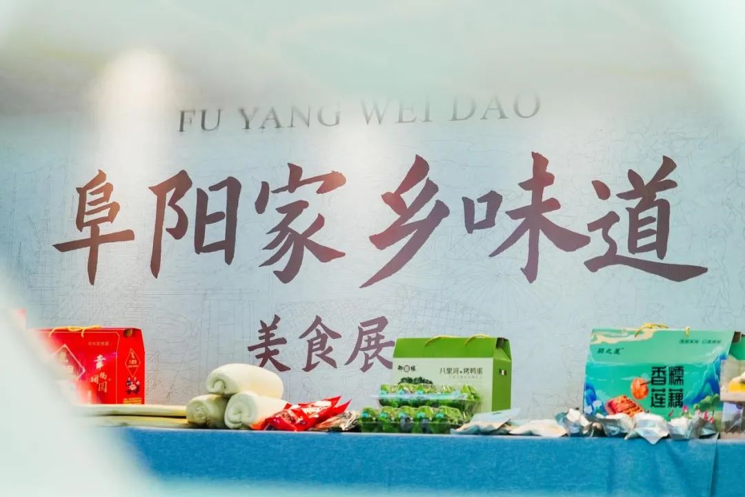 阜阳城市圈文旅联盟交流,阜阳城市圈与豫东南高新区的联动