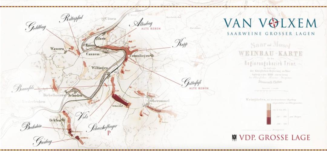 雷司令生日,雷司令2017