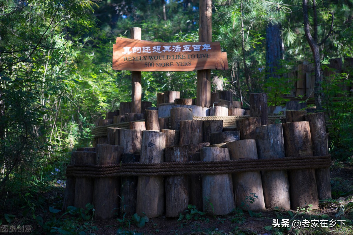 喇叭沟门原始森林最佳观赏区,喇叭沟门原始森林赏七彩秋景