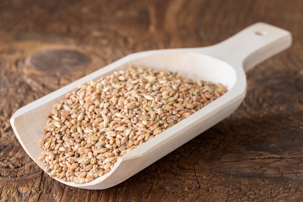 这9个冷门专业就业率高,最新十五个冷门专业就业