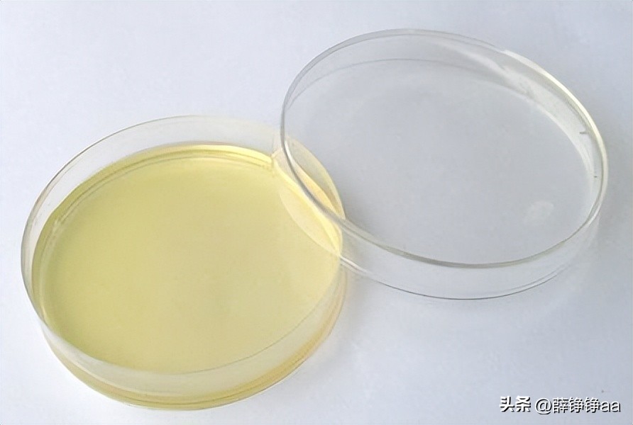 番茄青枯病害鉴别,分离番茄茎腐病真菌的方法