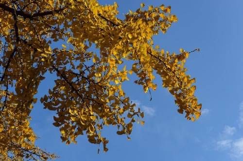 楚成阳‖我的作家故事（散文）