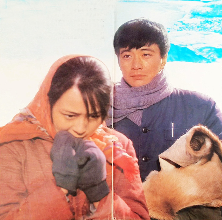 80年代一部爱情电影庐山恋,爱情经典电影庐山恋佳片欣赏