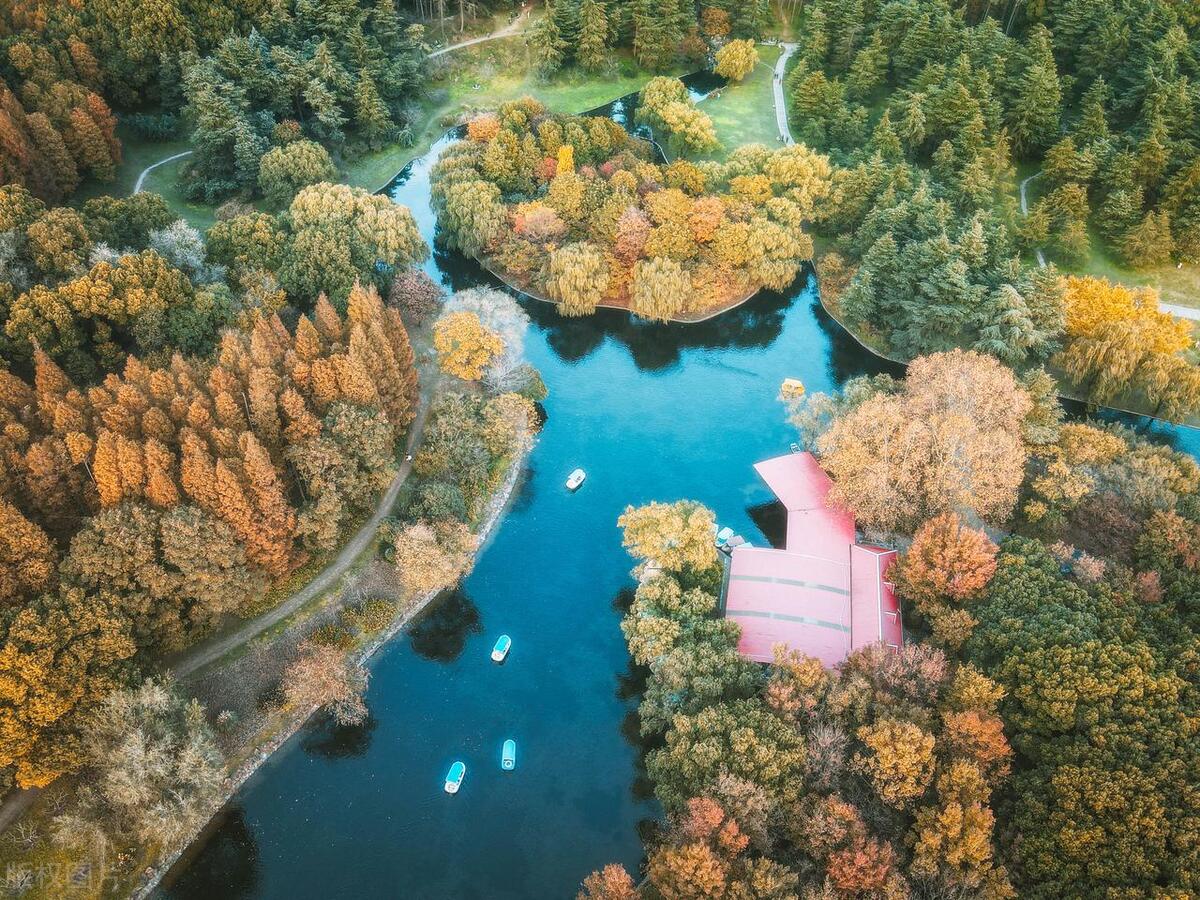 大自然的怀抱最美妙,大自然的怀抱的视频