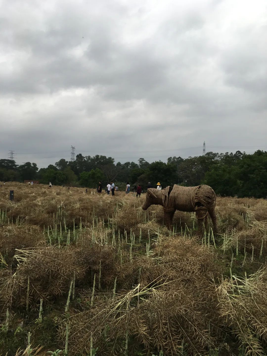 旭光电动车行,旭光车行向阳路
