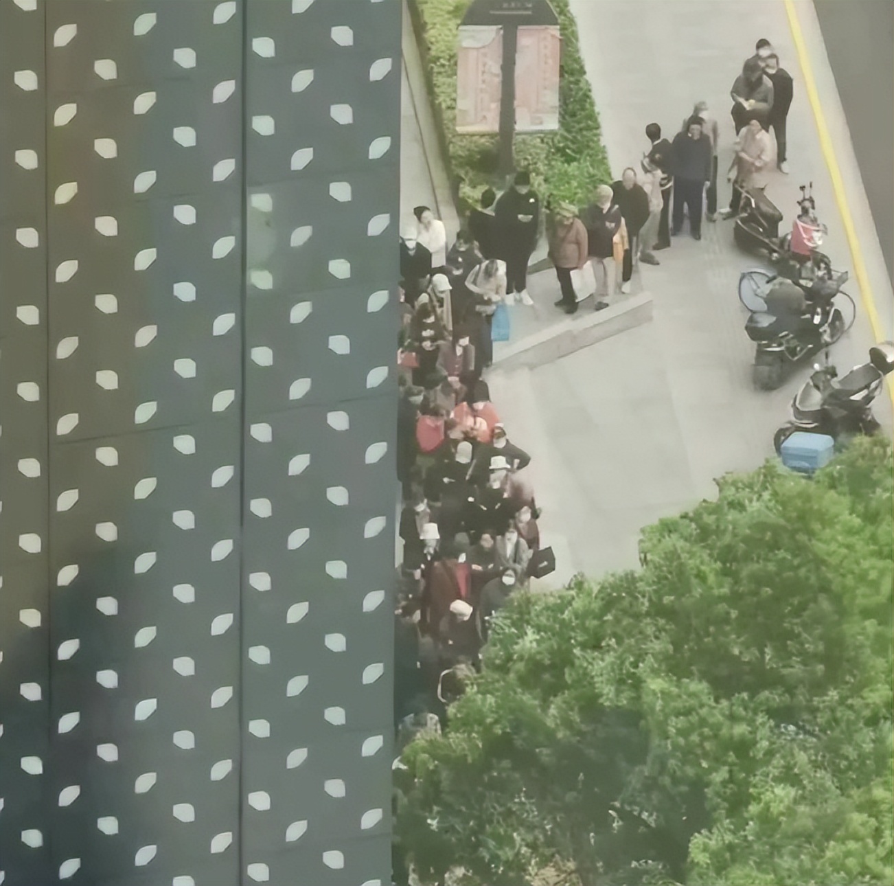 惊！号称日本排名第二的生吐司一条售价98元，顾客排长队，黄牛加价到300元