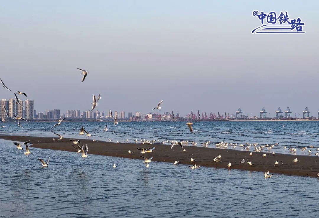 一票打卡三个城市,铁路旅游新型票制产品来了!