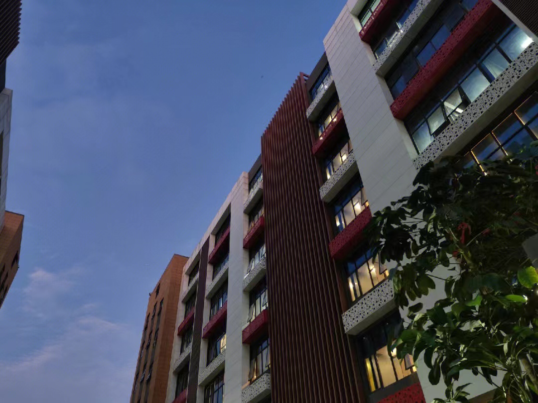 适合旅行拍照的数码相机推荐,摄影入门什么相机适合用手机拍照