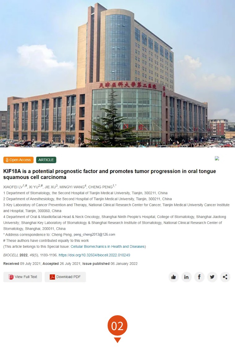 极大关注！天津医科大学第二医院发表的论文因明显图片重复被质疑