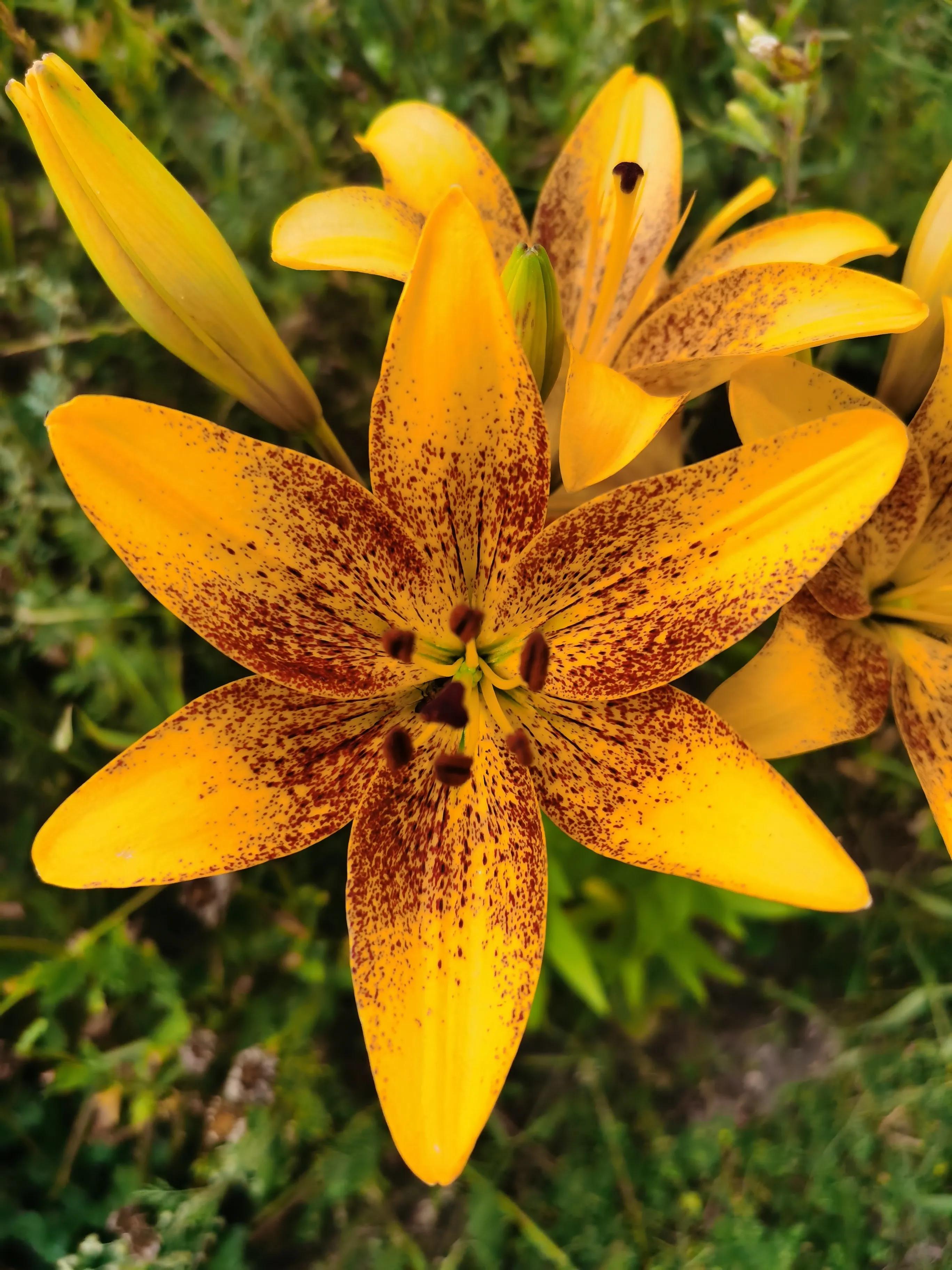 心灵的洗礼纯音乐完整版,心灵的洗礼灵魂的净化