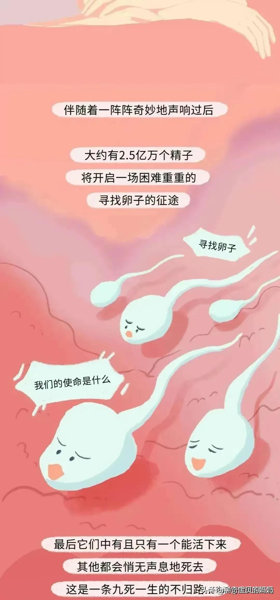 科普知识小蝌蚪怎么成长为青蛙,小蝌蚪动画的成长过程