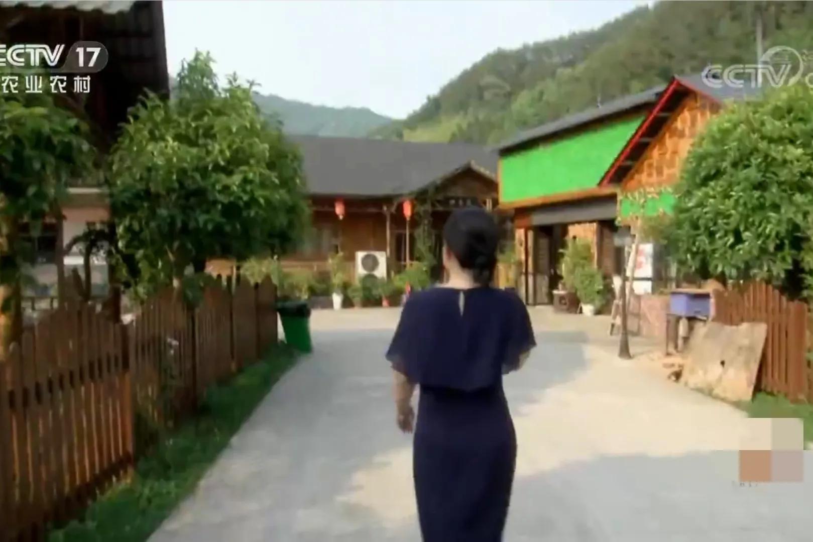 湖南女子投资180万开农庄日入2位数,如今靠柴火鸡年销售额1000万