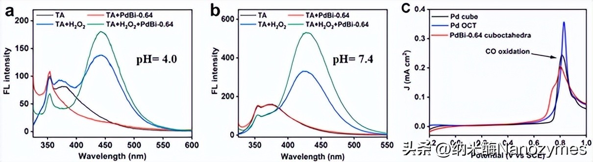 Small|一种利用亲氧金属调控钯基纳米酶活性的策略及生物分析应用