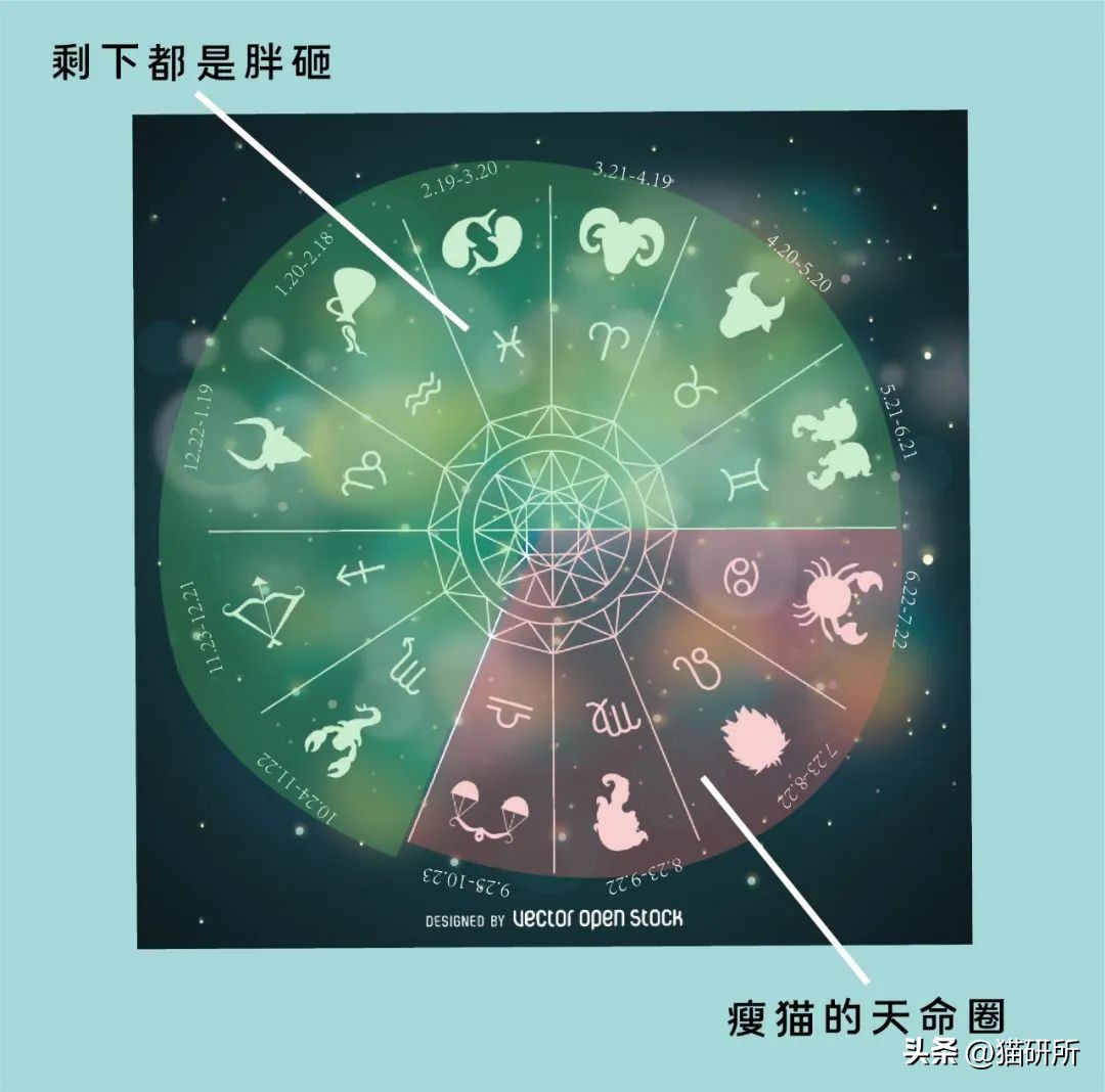 通过猫咪肉垫看性格,猫咪的肉垫可以看出来性格