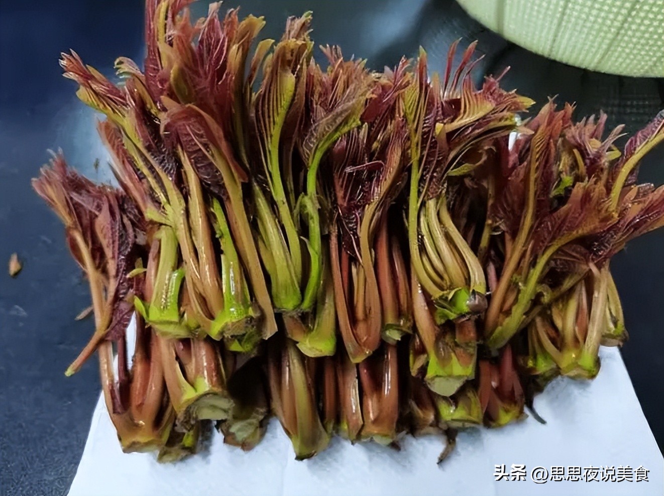 清明前后，有钱没钱，记得吃“树上4鲜”，季节性强，错过等明年