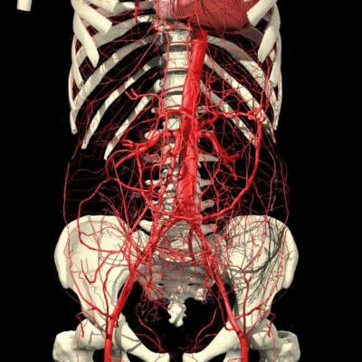 厦门174医院骨科腰椎间盘突出,河南省骨科医院治疗腰椎间盘突出