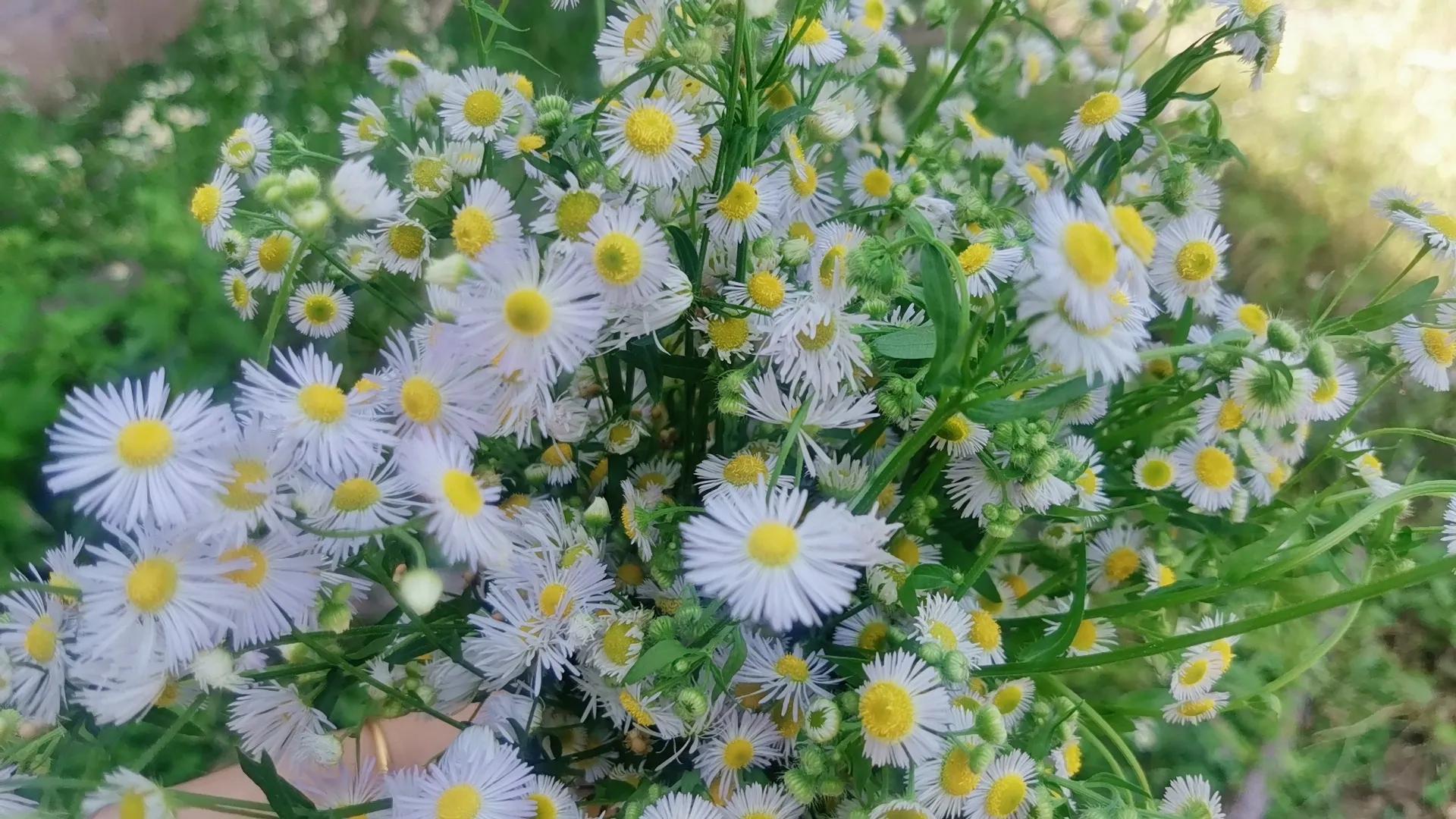 2022年的最后一个月，我被骂的狗屎不如，网暴有多可怕