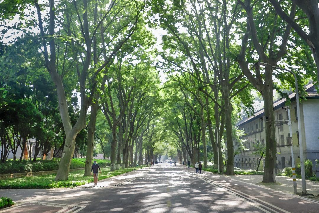 高考学子邀请函,高考倒计时50天欢迎报考