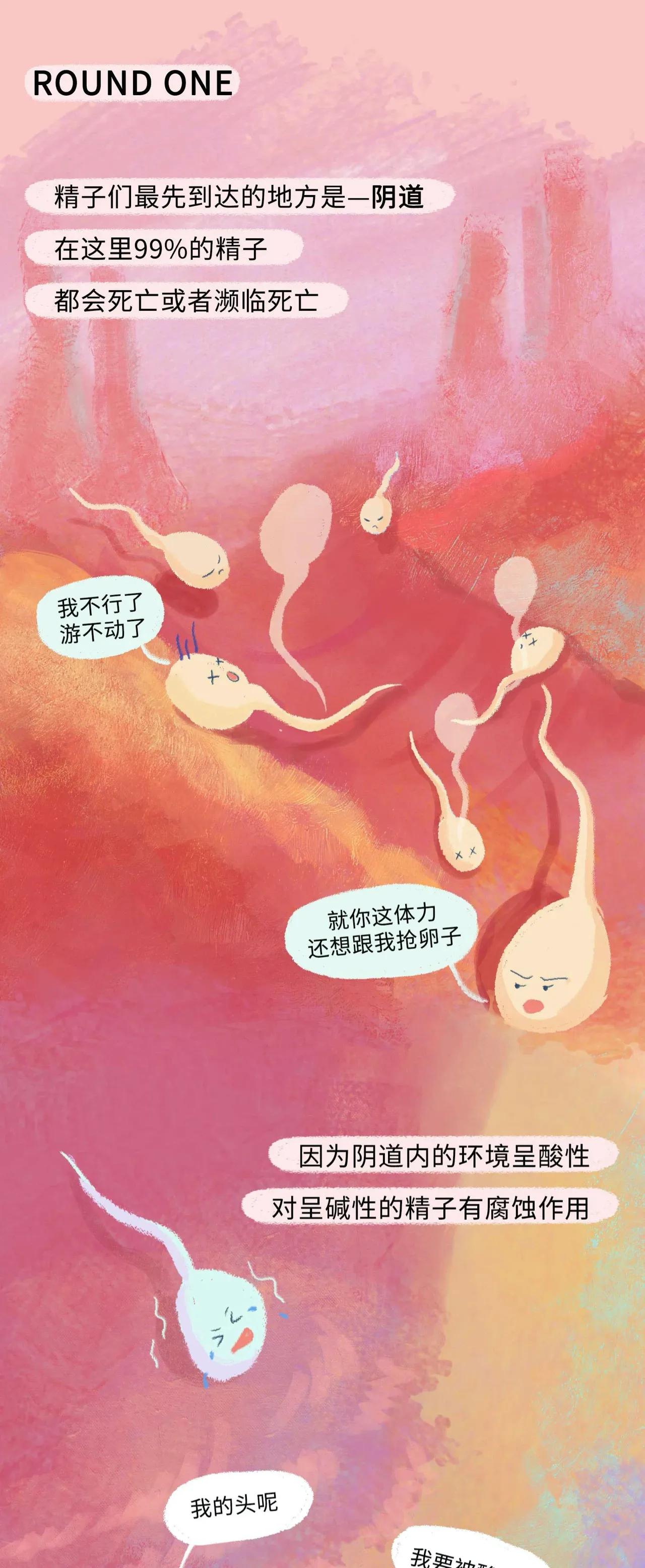 精子进入女生体内的全过程曝光！太励志了吧！