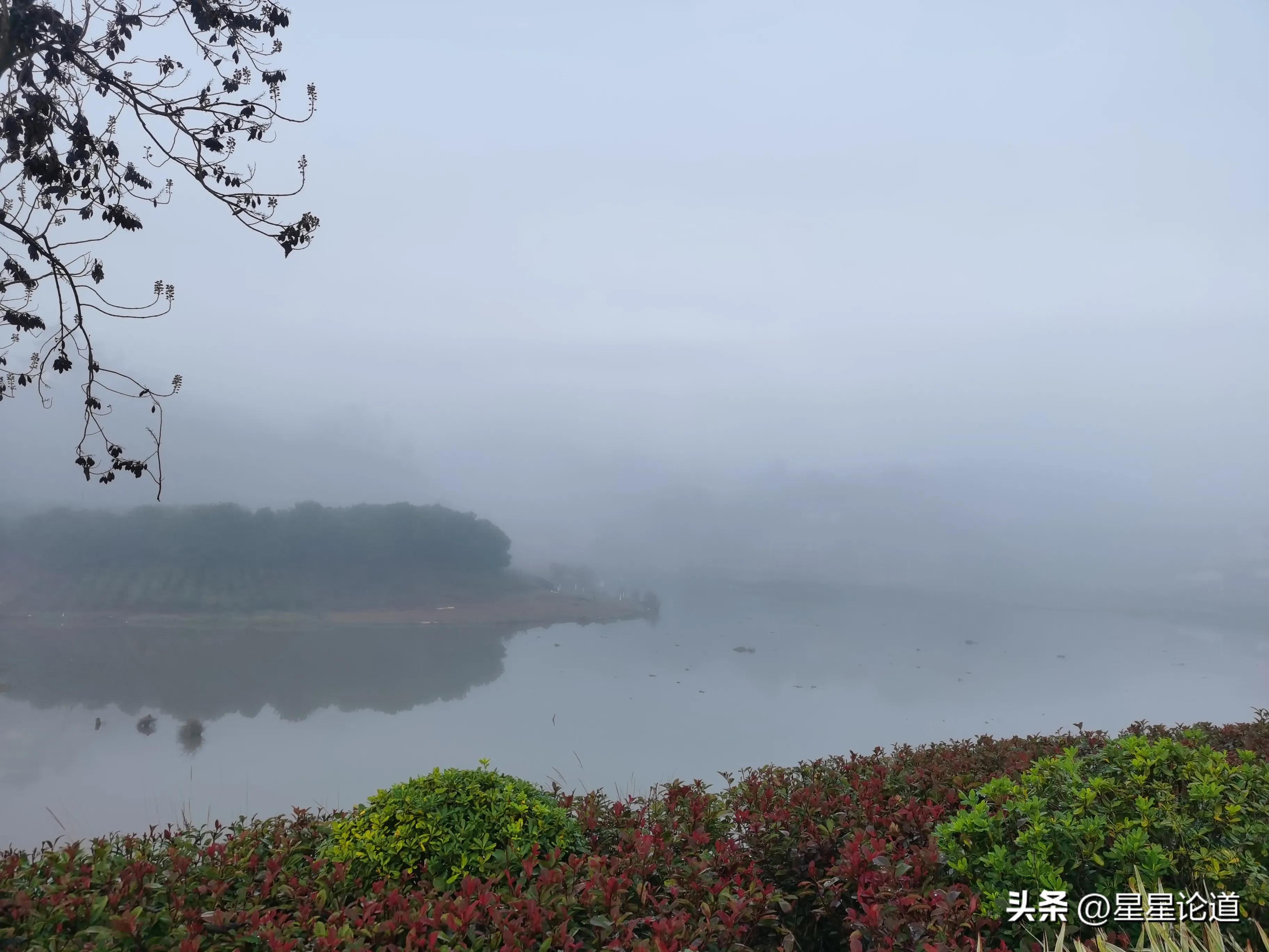 麻将学习速成公式,麻将水平与技巧