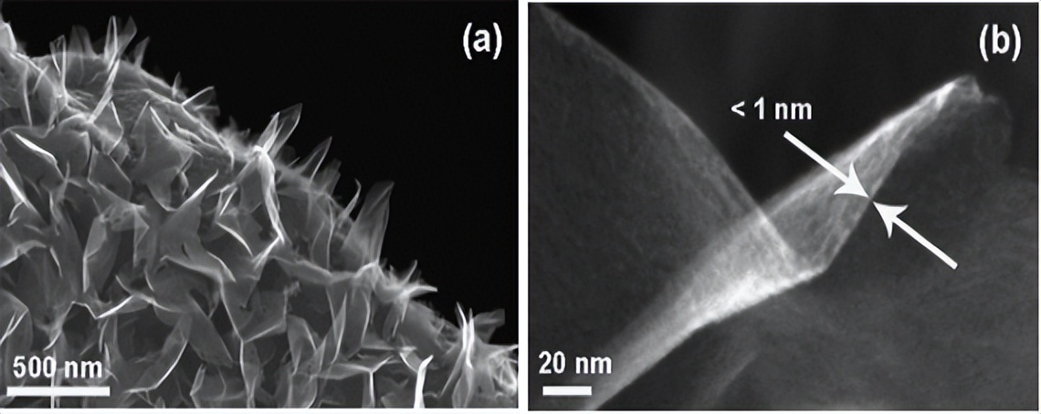 石墨烯应用于电化学传感器的发展,石墨烯电化学传感器发展