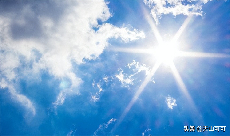 夏天冷泡菊花茶推荐,夏天喝菊花加冰糖