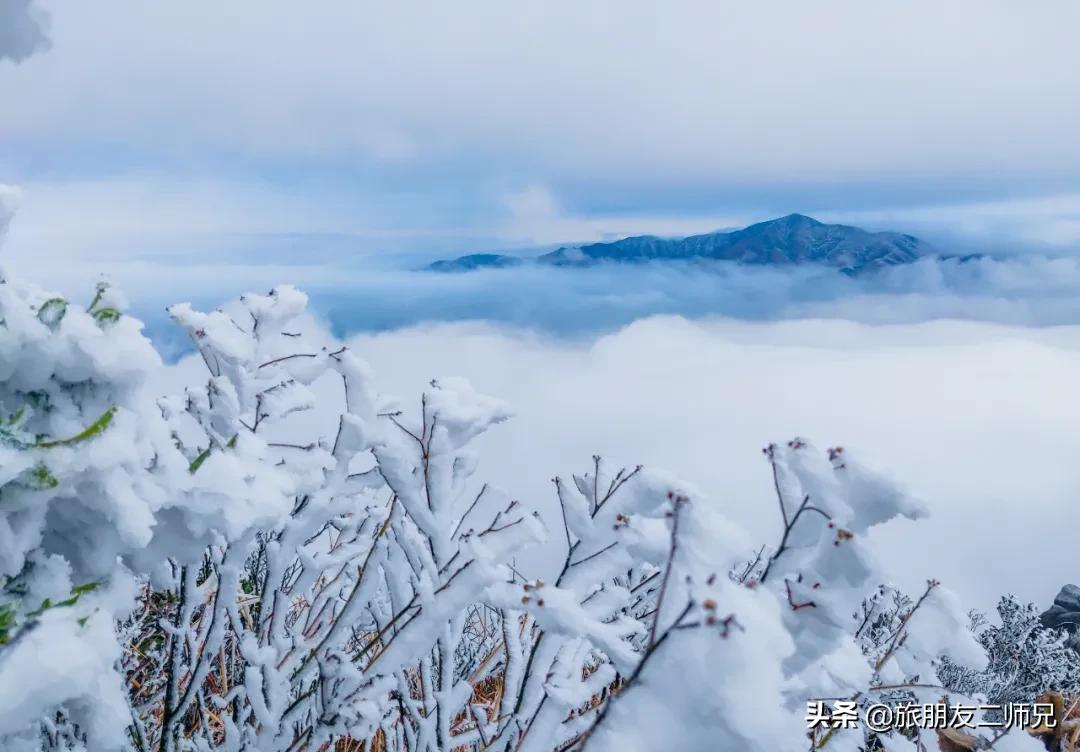 清远金子山旅游攻略看雾凇,广东金子山雪景旅游攻略