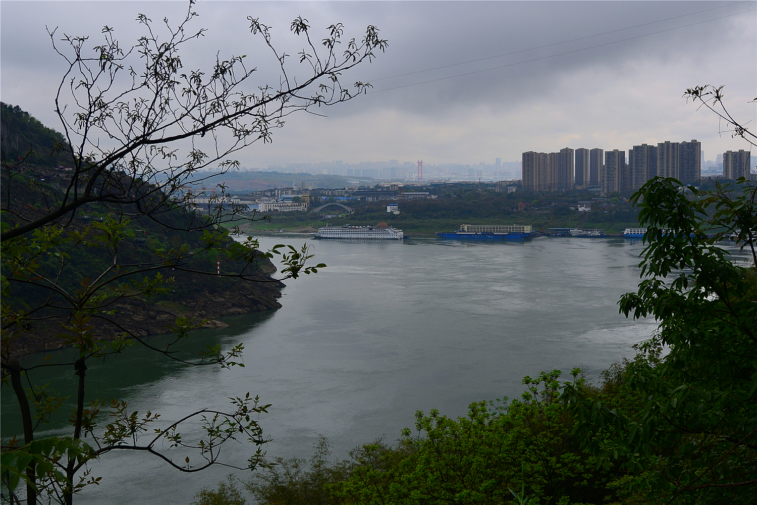 【重庆影像376】·铁山坪森林公园（202302）