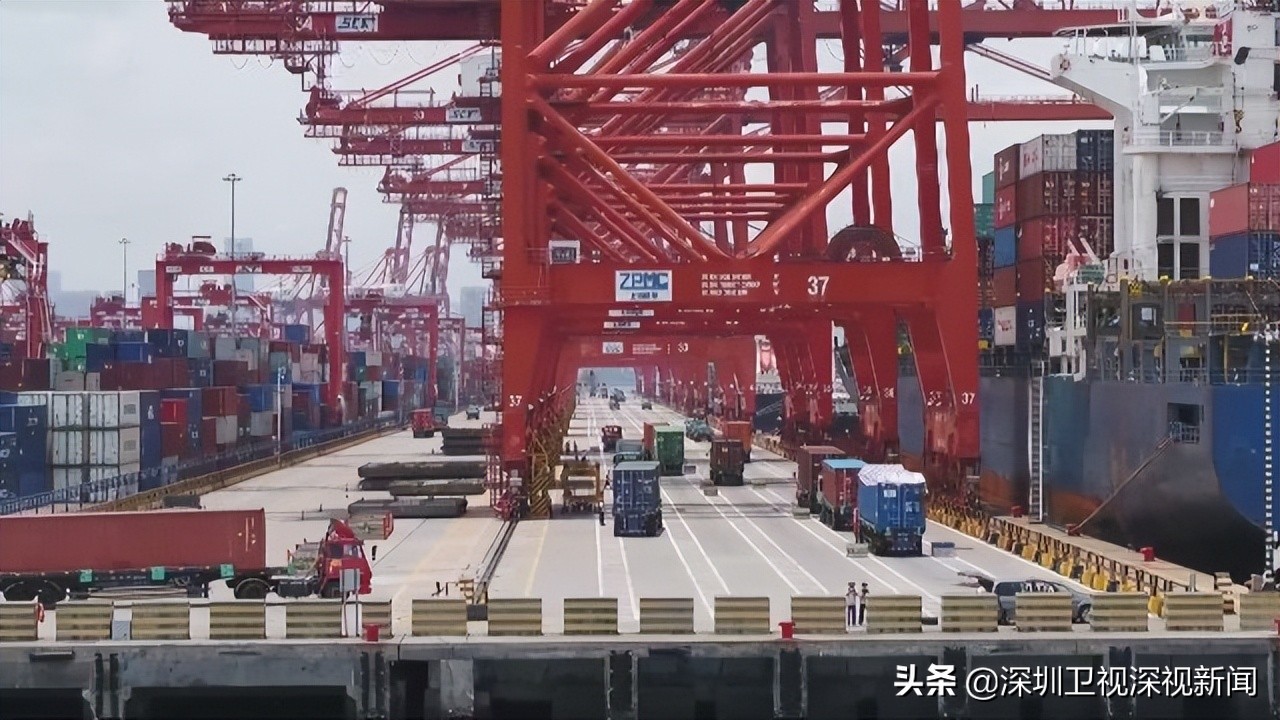 深圳外贸进出口发展后劲如何,深圳各区外贸出口占比排名