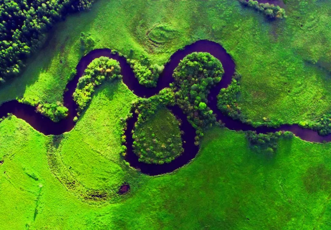 湿地可以开发什么旅游项目,黑龙江旅游必去十大湿地排名