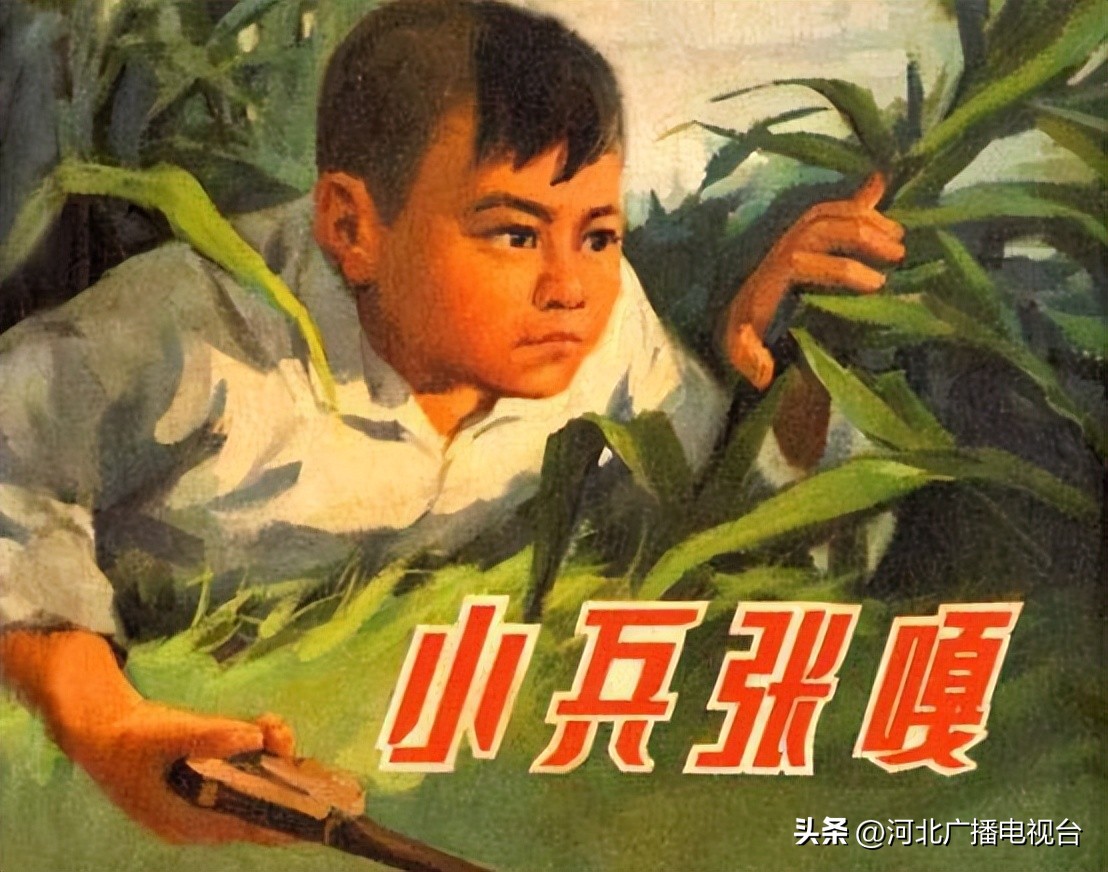 今日的白洋淀视频,现在白洋淀的情况