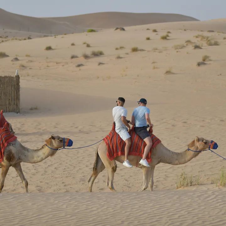 V世界｜夏天，在阿布扎比的11个“极致”体验