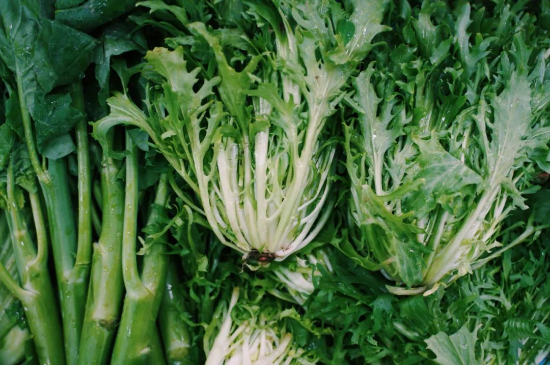 当一个南方人在北方吃西瓜,当一个南方人在北方点一个菜