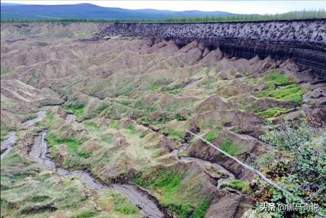 北极发现几万年前尸体人类需警惕,北极冻土发现史前生物是真的吗