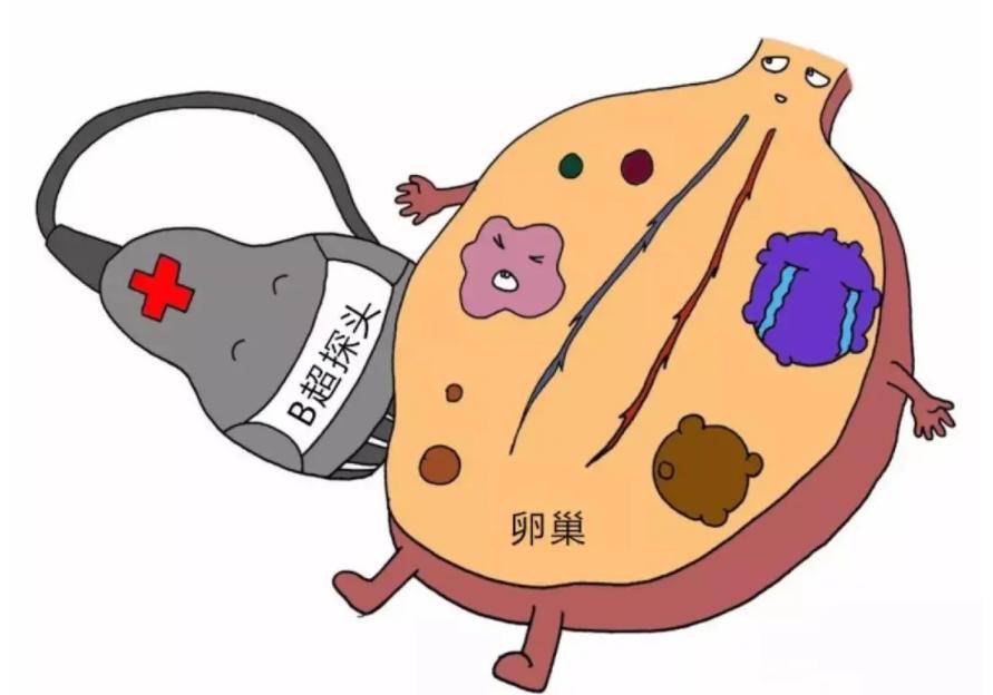 月经随着年龄越来越少是什么原因,月经量突然减少是进入早衰期